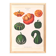 Poster on ornamental gourds, based on an old engraving from 1886.