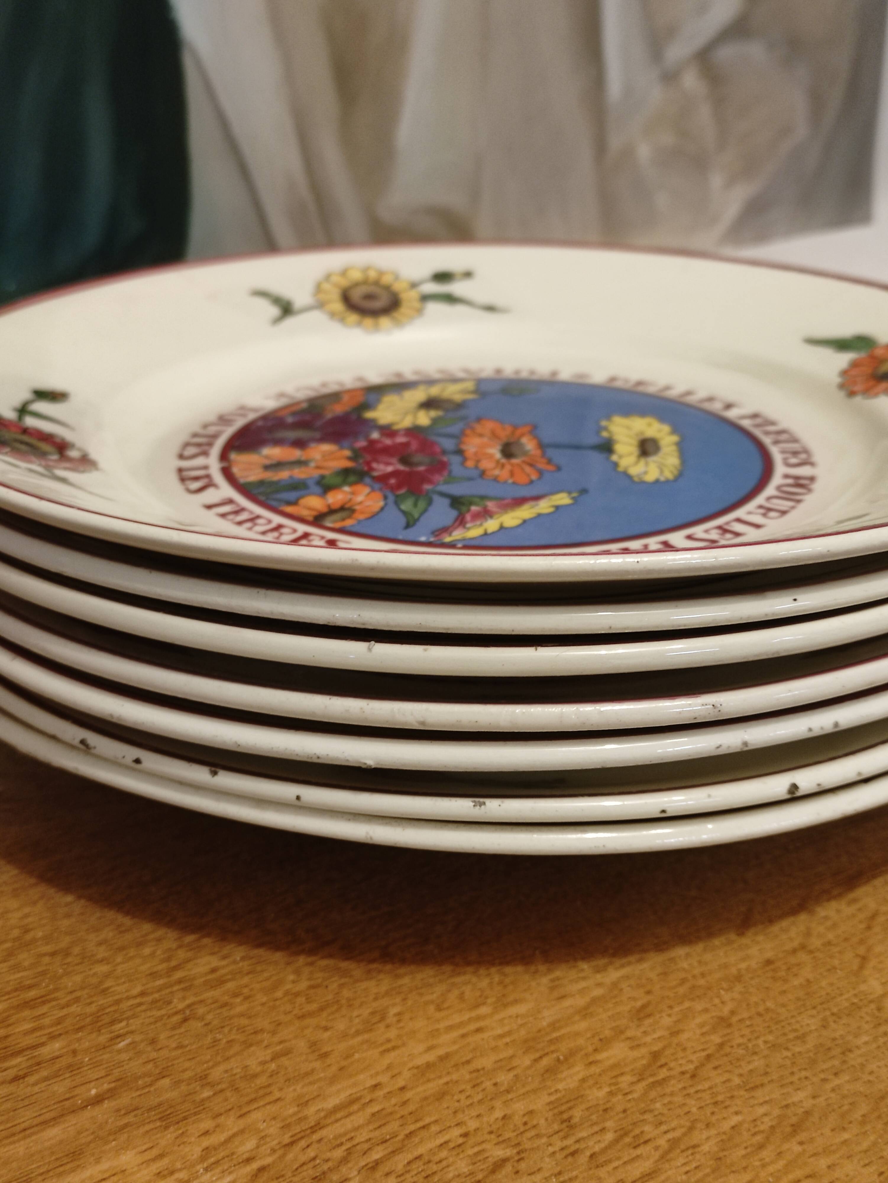 Lunéville 7 flat plates Potash by Hansi