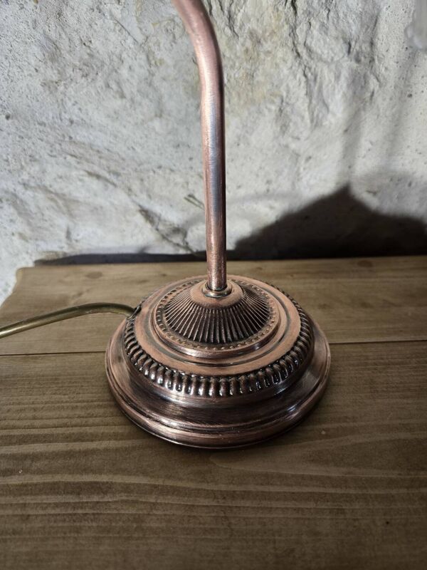 Lampe col de cygne et tulipe en verre dépoli