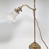 Swan neck lamp