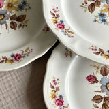 5 dessert plates Orchies Moulin des Loups