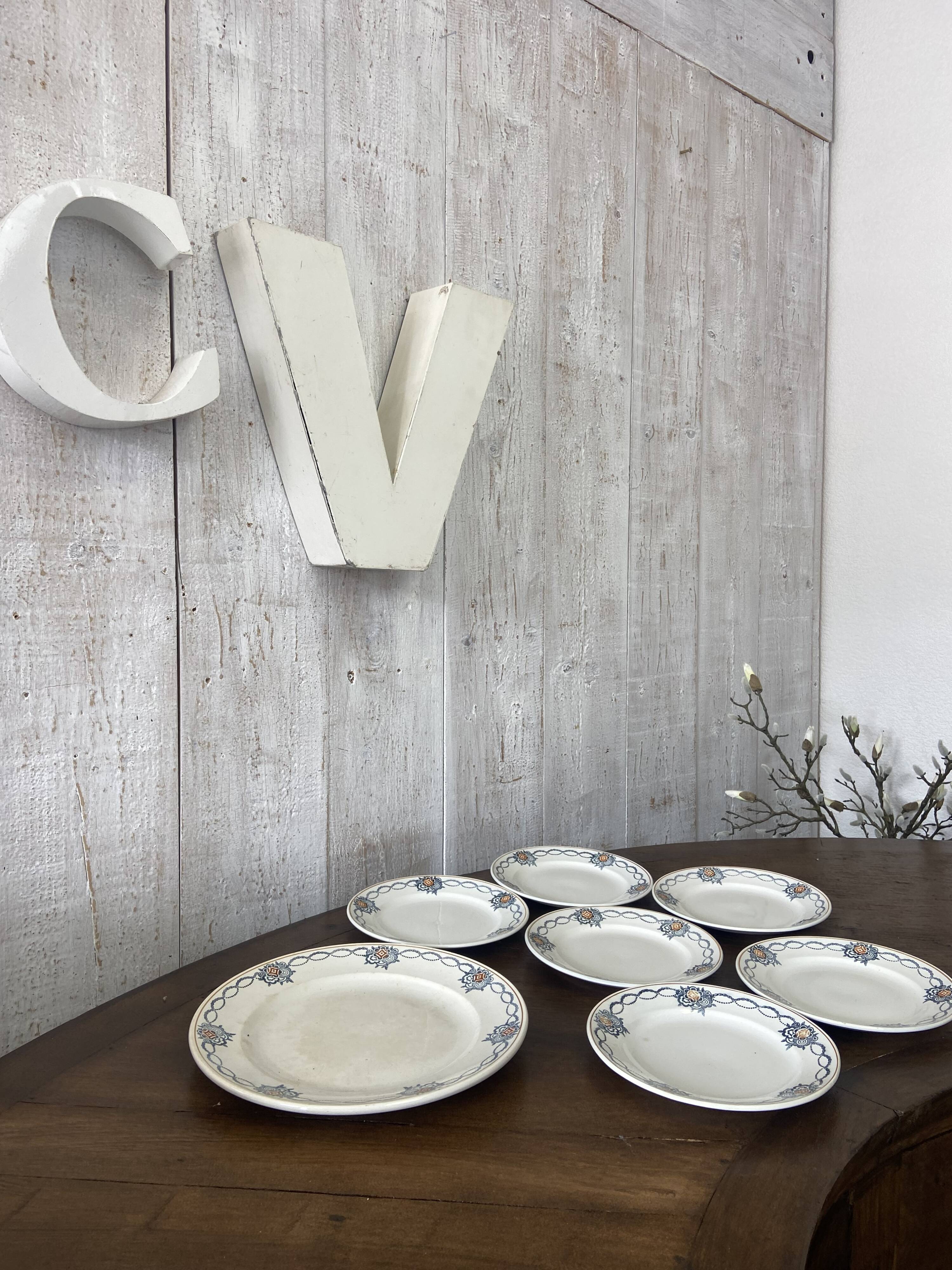 Set of 6 plates and 1 dish St Amand.