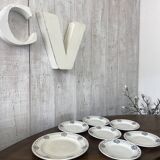 Set of 6 plates and 1 dish St Amand.