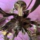 Lustre bronze doré 6 bougies annees 100