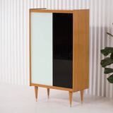 Vintage Scandinavian library - 1960