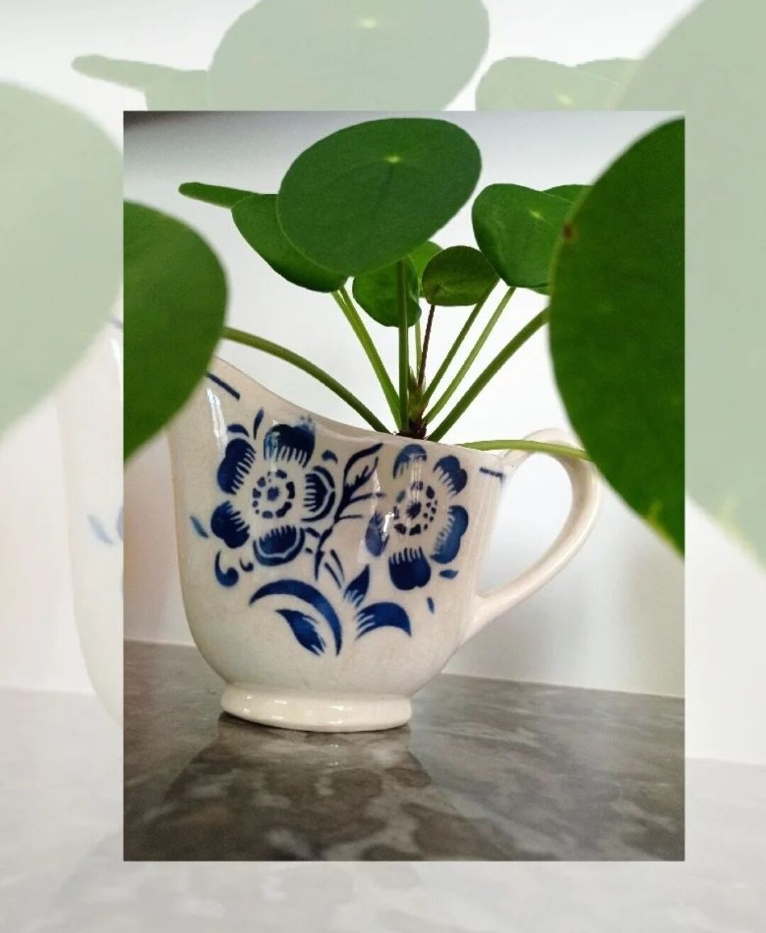 Gravy boat Badonviller