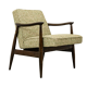 Mid Century Armchair Gfm 87 By Juliusz Kędziorek, Gfm, Poland, 1960s