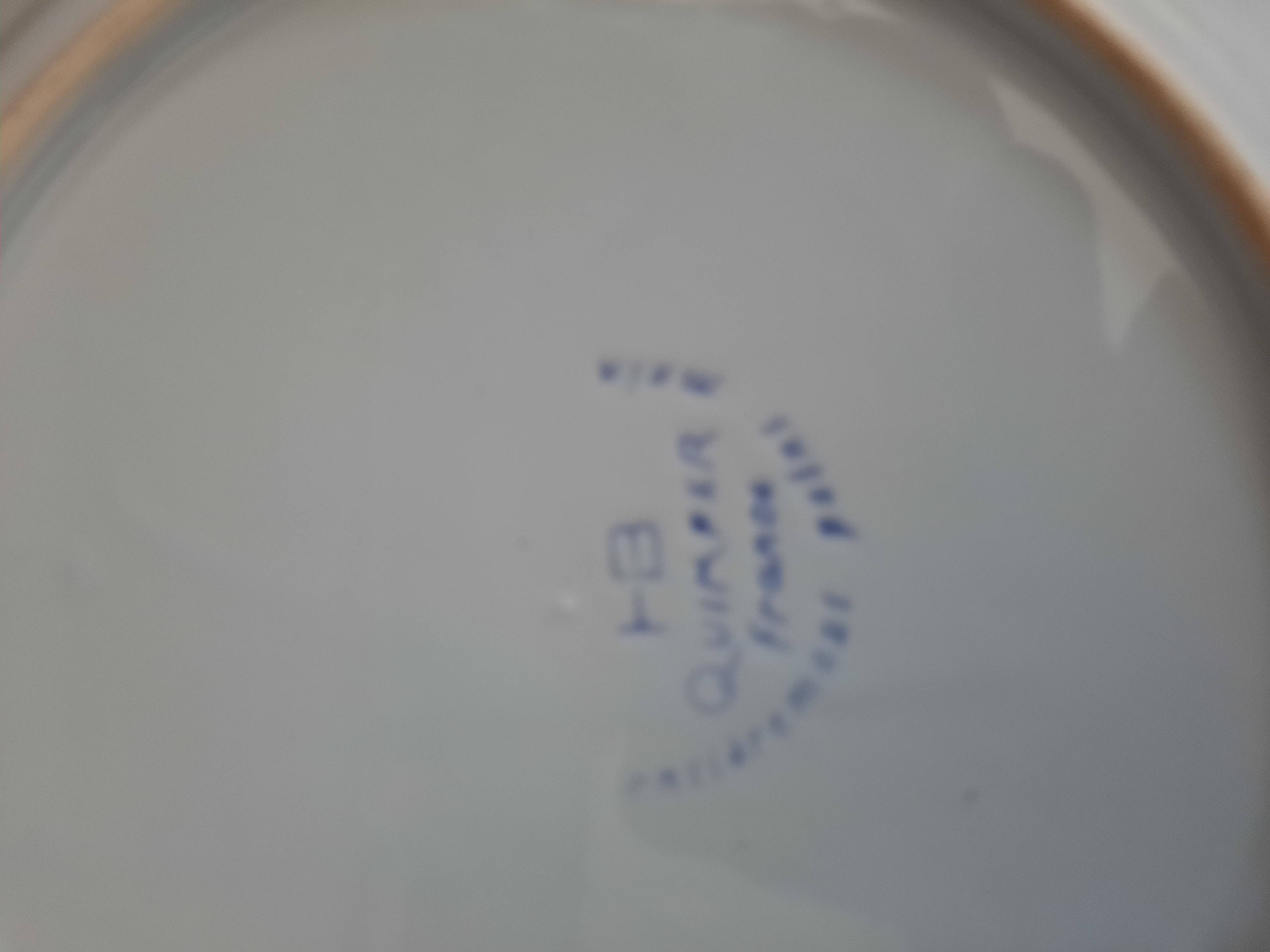 Old flat plate faience hb quimper hand-painted floral decoration