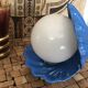 Shell lamp