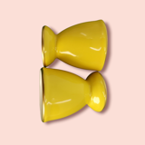 Duo of cockroaches lemon yellow legle under the sun