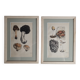 Two old engravings of watercolor mushrooms nineteenth century after G. Bernard