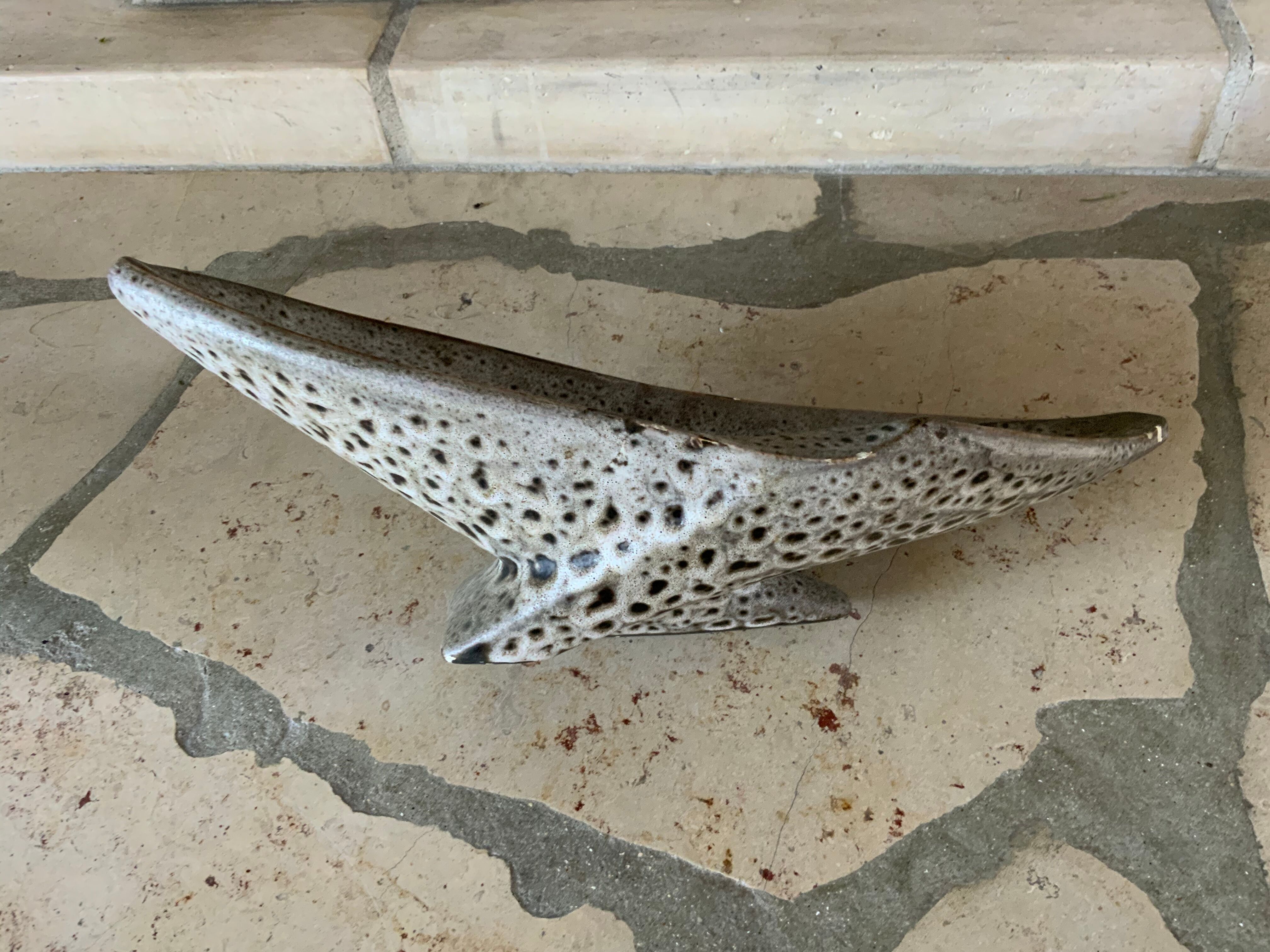 1950s enamelled earthenware cut