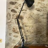 Anglepoise lamp