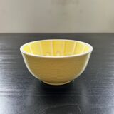 Yellow lemon bowl