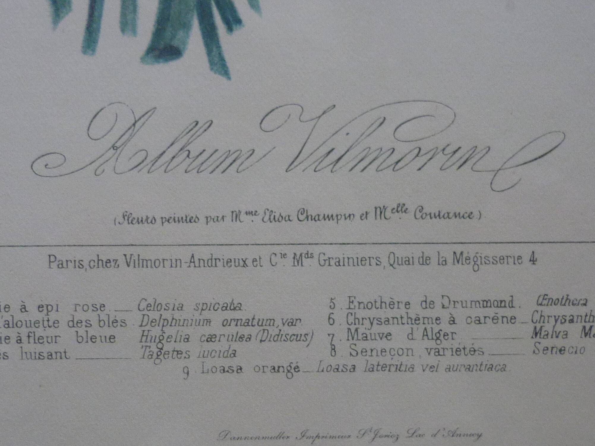 Framed Vilmorin lithograph, bouquet No 7, 1857, E. Champin