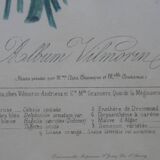 Framed Vilmorin lithograph, bouquet No 7, 1857, E. Champin