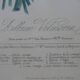 Framed Vilmorin lithograph, bouquet No 7, 1857, E. Champin