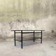 Vintage modernist glass coffee table