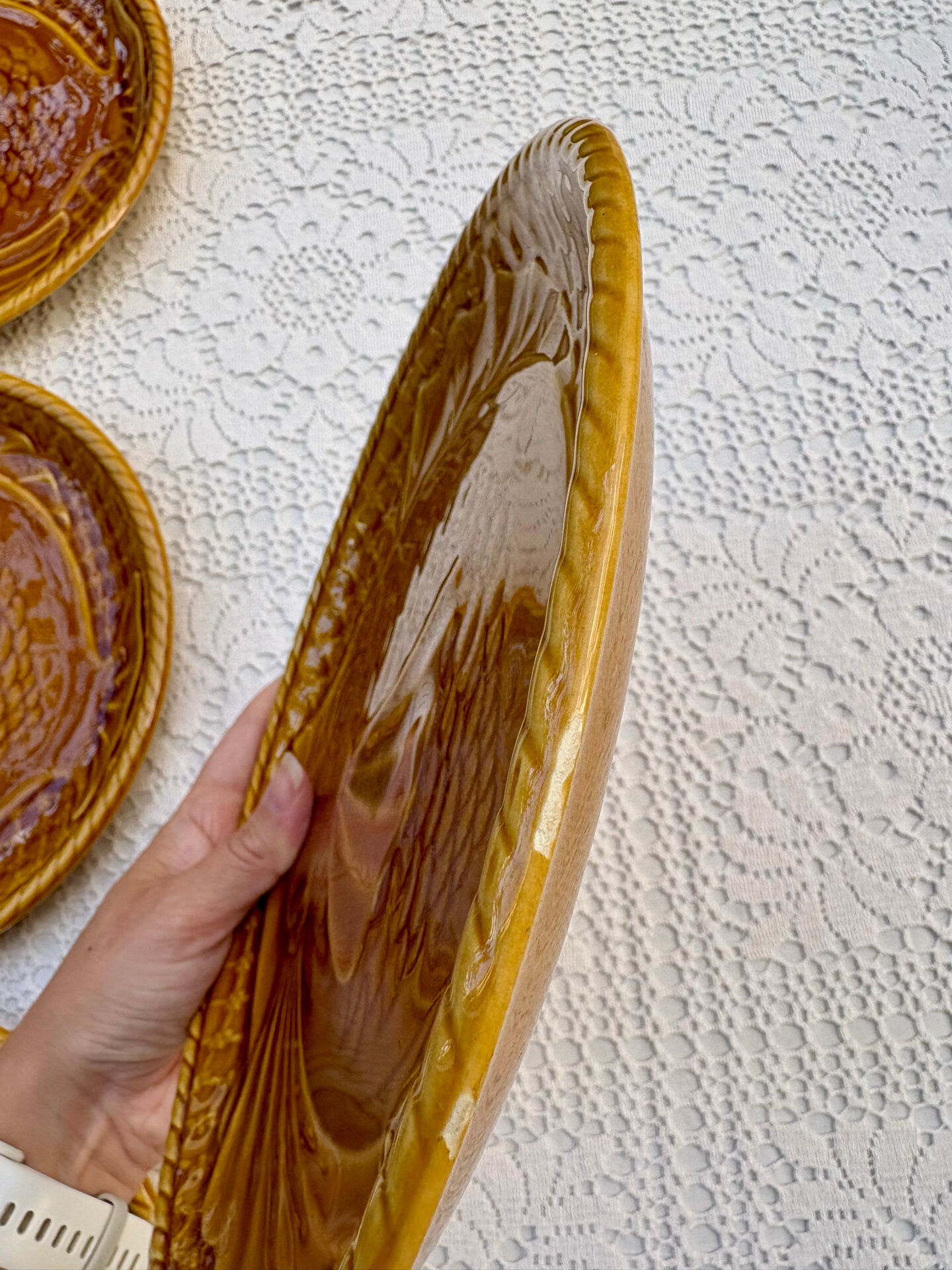 6 large barbotine plates gien fish