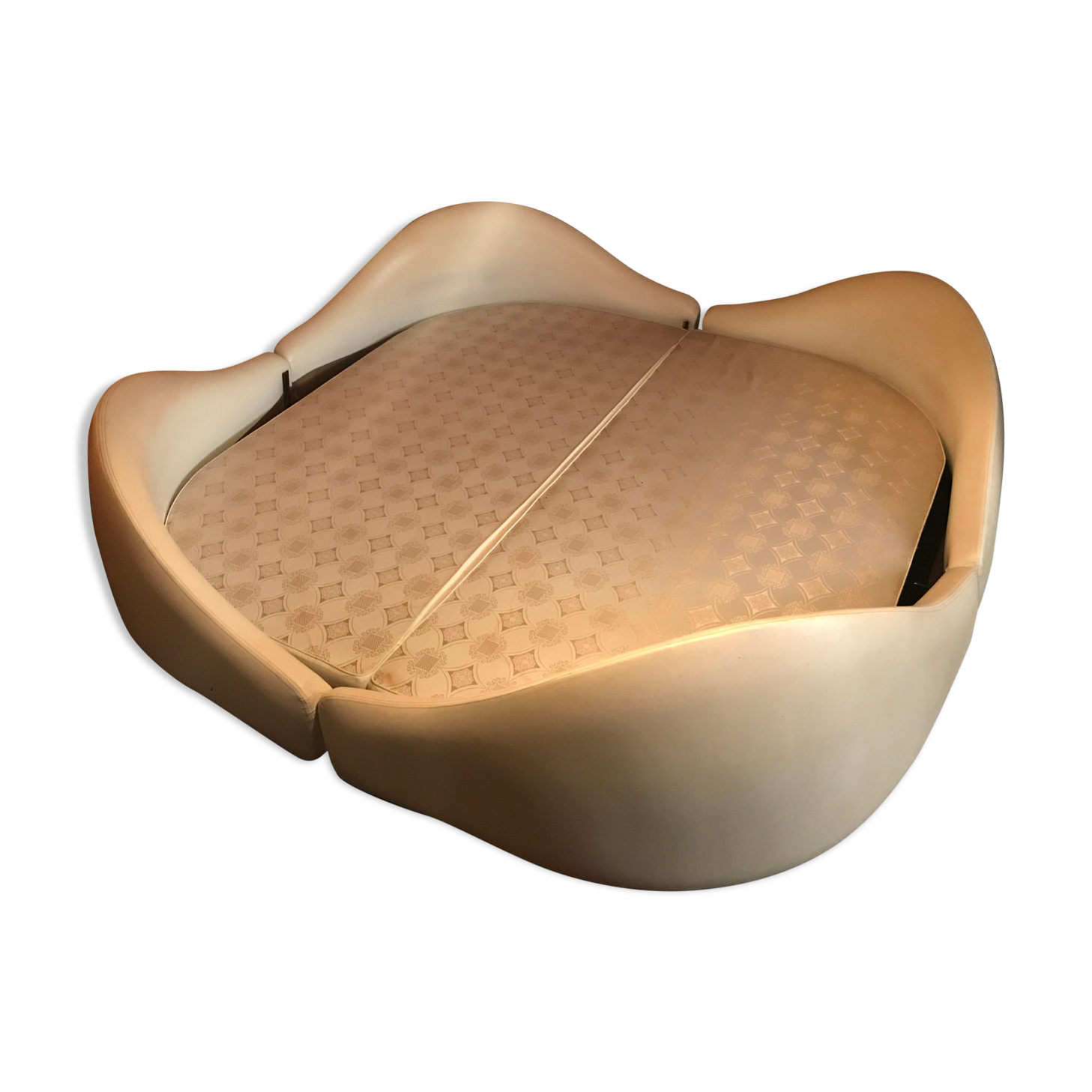 Anemone bed by Bernard Gauvin 1972