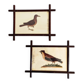Pair of 19th Century French Folk Art Frames with Pomar Codex Bird Facsimiles