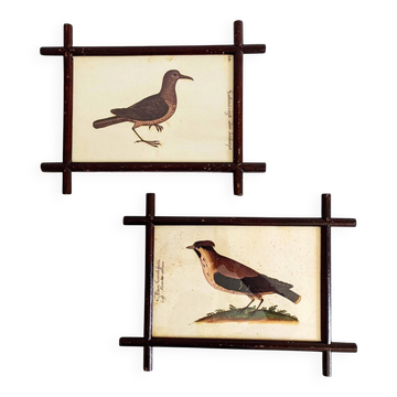 Pair of 19th Century French Folk Art Frames with Pomar Codex Bird Facsimiles