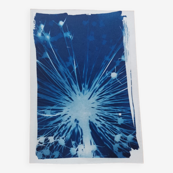 Cyanotype fuzzy flower vintage