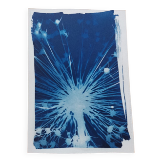 Cyanotype fuzzy flower vintage