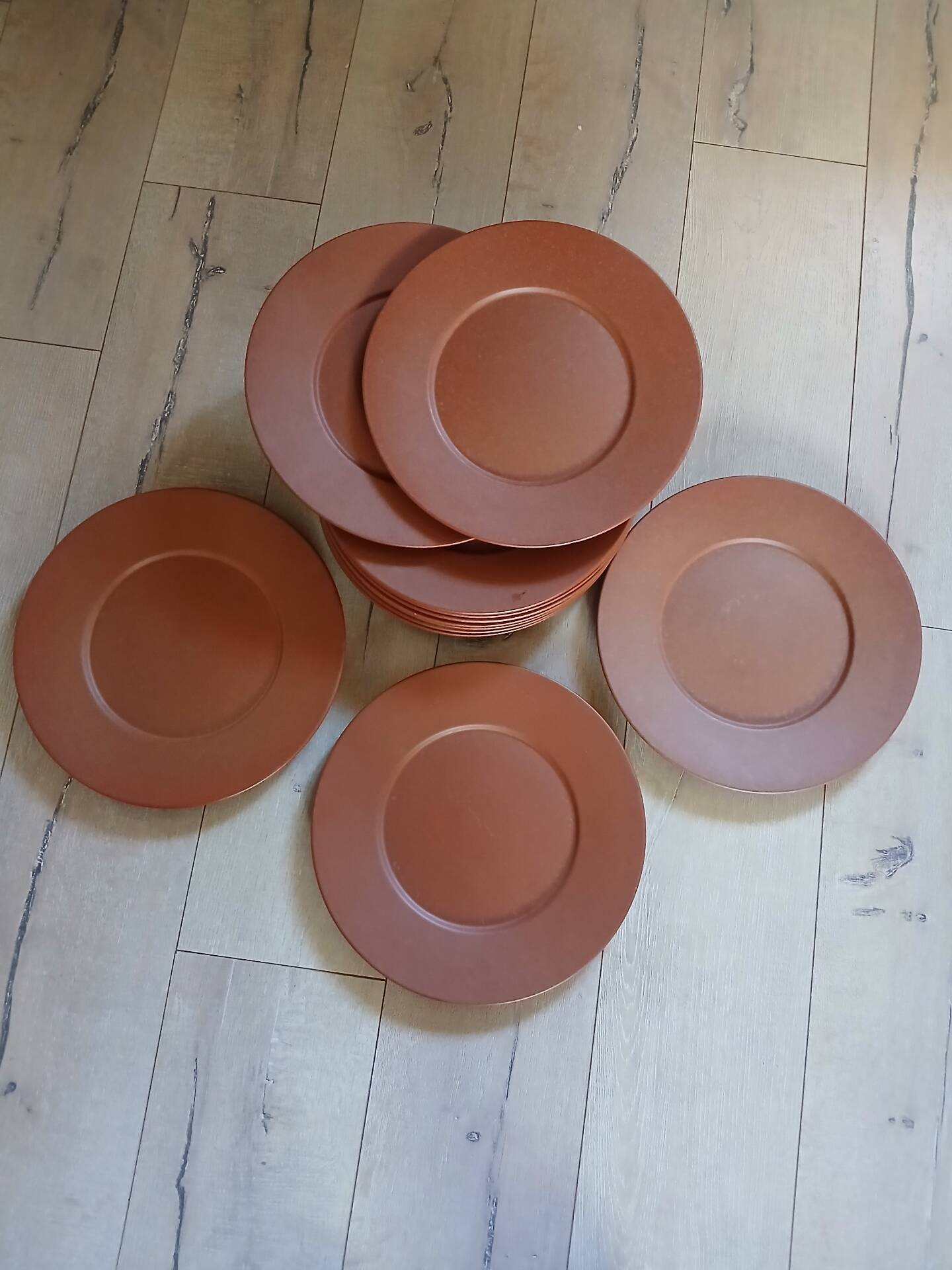12 large flat plates Molin / Charolles