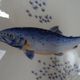 Fish plate limoges "corail la mer" porcelain a. giraud & cie sauviat
