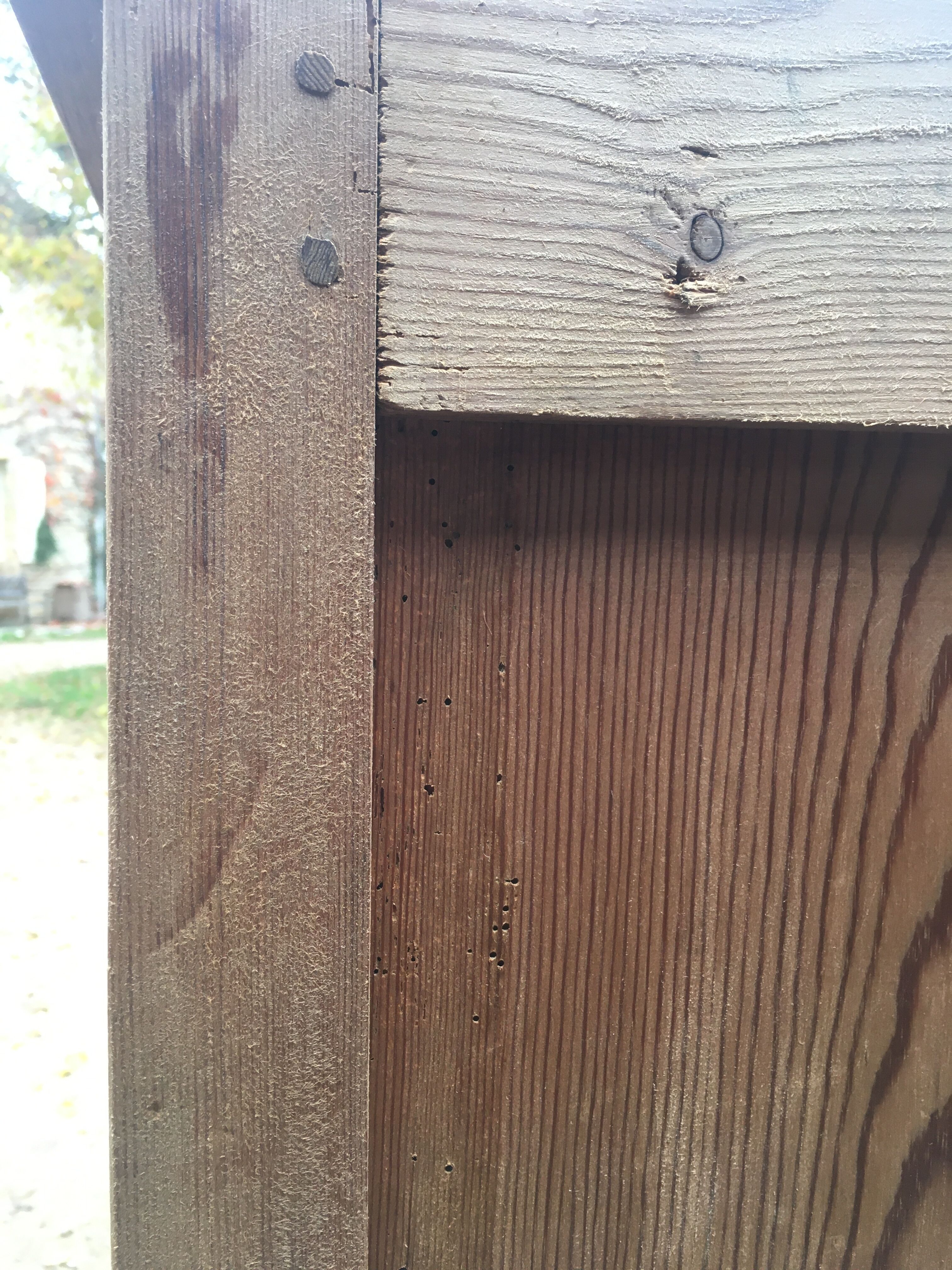 Wooden cabinet with interior doors
