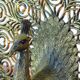 Lampe paon vintage
