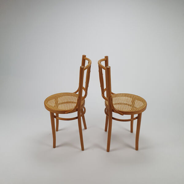 Ensemble de 2 chaises roumaines en bois de bent de canne et de bouleau, années 1960