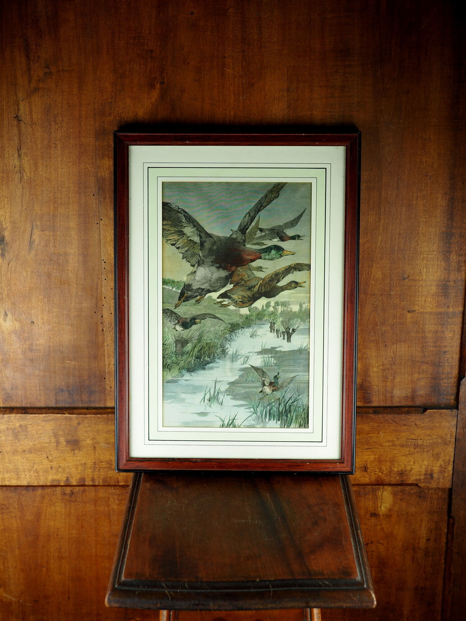Flight of ducks, marshes and tetard willows - chromolithography Jules Habert-Dys - 1880