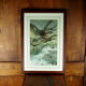 Flight of ducks, marshes and tetard willows - chromolithography Jules Habert-Dys - 1880