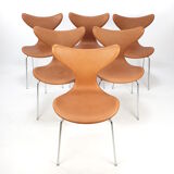Set of 6 Lily chairs by Arne Jacobsen for Fritz Hansen, 1960s