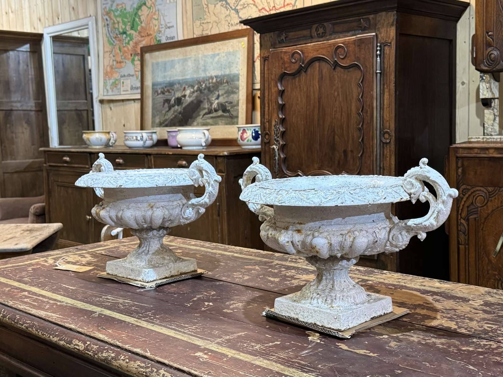 Pair of Medici vases in cast iron from the 19th century.