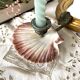 Scallop shell and lion paws candle holder