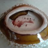Ceramic