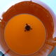 Ball hanging lamp 30cm