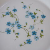 Service for 4 people forget-me-not arcopal