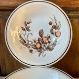 8 English deep plates Royal Tudor Crown Harvest