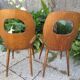 Paire de chaises en bois Baumann vintage
