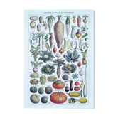 Poster on vegetables, based on a lithograph from 1922.