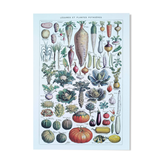 Poster about vegetables, based on a 1922 lithograph
