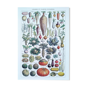 Poster on vegetables, based on a lithograph from 1922.