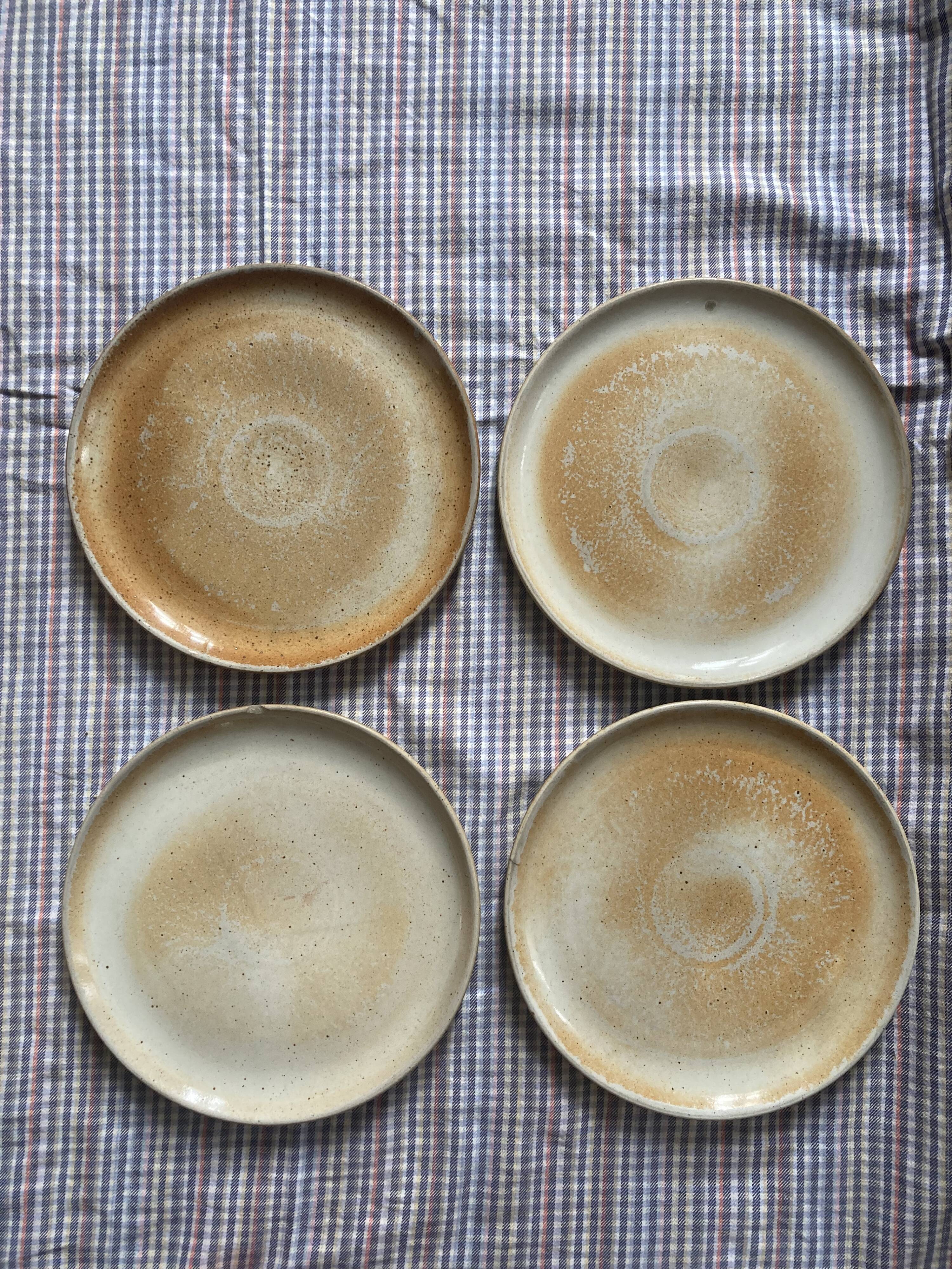 Flat plates in marshes stoneware paris