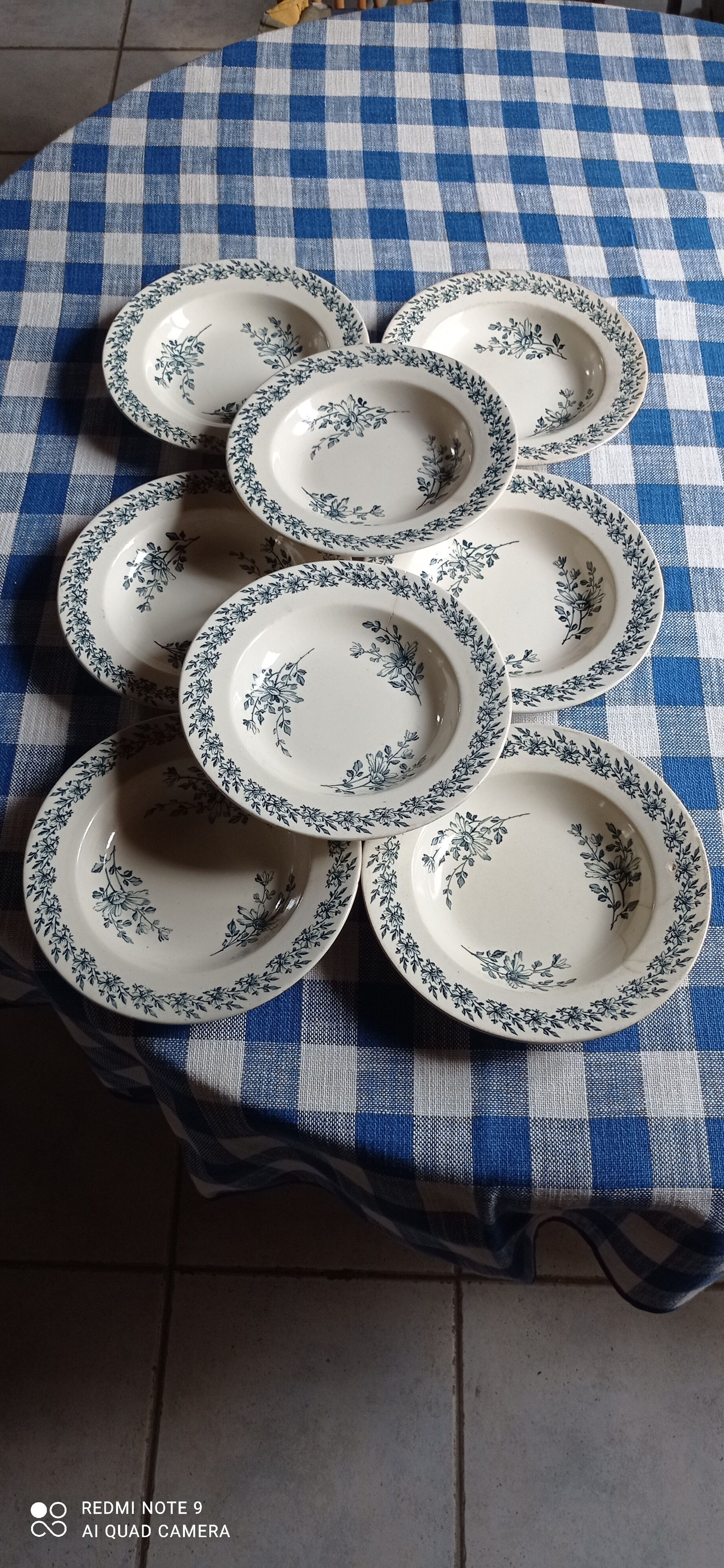 Set of eight iron earth plates