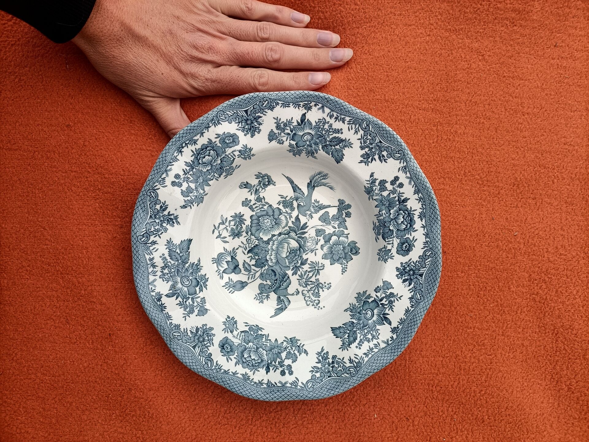 Retro deep plate