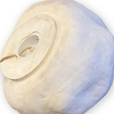 Lamp in moon rock composition